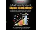 Digital Marketing Agency in Bangalore | Zinavo
