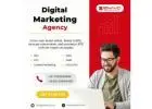 Digital Marketing Agency in Bangalore | Zinavo