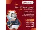ReactJS Development Services Company Bangalore | Custom Django Development
