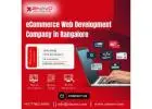 eCommerce Web Development Company in Bangalore | Zinavo