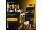 Betfair Clone Script for High-ROI Online Casino & Betting Businesses
