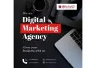 Digital Marketing Agency in Bangalore | Zinavo