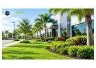 Refresh Your Property With Beautiful Outdoor Design and Care