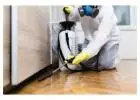 Professional Exterminators Swindon for Fast Pest Solutions