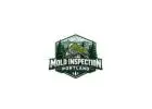 Mold Inspection Portland