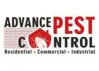 Pest control north Vancouver