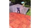 Roof Doctor Adelaide – Quality Roofing That Lasts