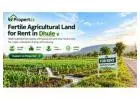 Fertile Agricultural Land for Rent in Dhule for Long-Term Farming | Propertzz