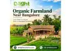 Organic Farmland Near Bangalore – Managed Farmland Opportunities in Karnataka  Delightecofarms