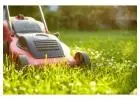 Give Your Garden the Care It Deserves
