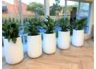 Indoor Planter Boxes for Homes and Commercial Spaces