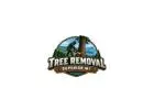 Tree Removal Superior WI