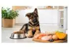 Dog Food Price in Pakistan | Big Paw
