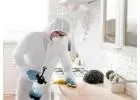 Affordable Pest Control Swindon Prices for Every Need